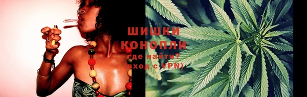 спайс Белокуриха